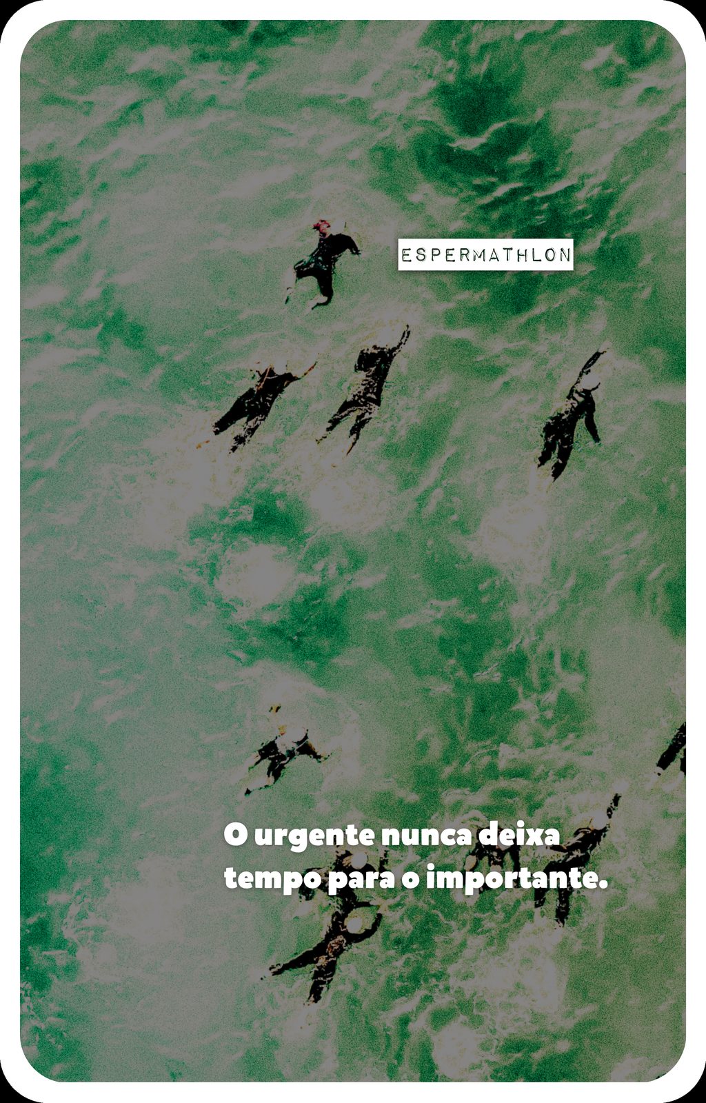 fertô fodão 38