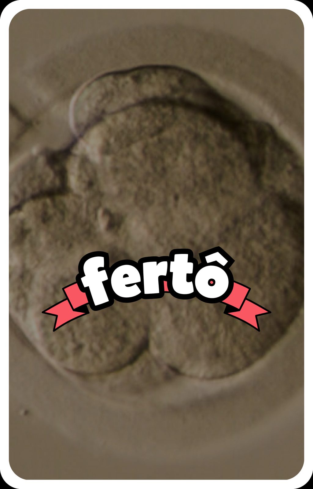 fertô fodão 42