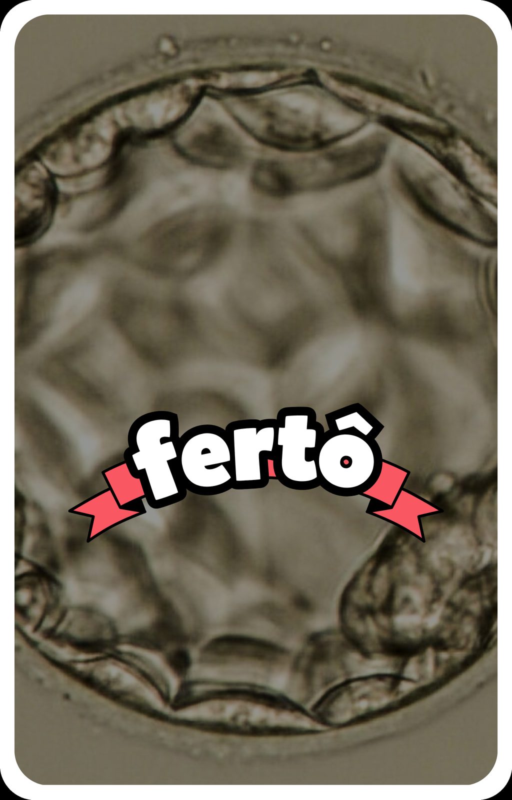 fertô fodão 43